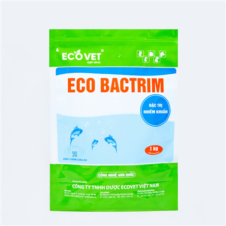 ECO BACTRIM - Special treatment for bacterial infections