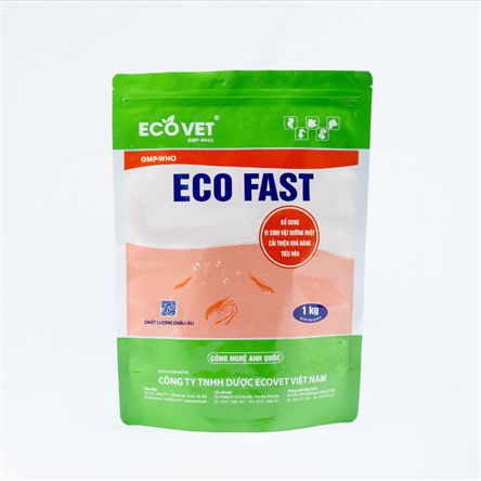 ECO FAST - Supplement intestinal microorganism, improve digestion