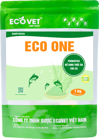 ECO ONE - Intestinal microorganism, improve digestion
