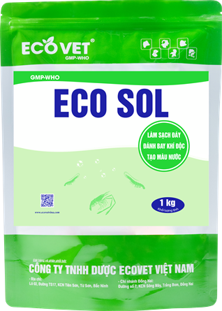 ECO SOL - Clean the bottom, remove toxic gas, create water color