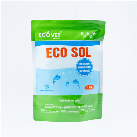 ECO SOL - Clean the bottom, remove toxic gas, create water color