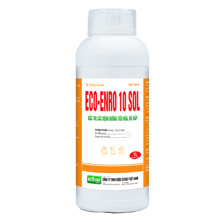 ECO ENRO 10 SOL - Special treatment for digestive and respiratory diseases