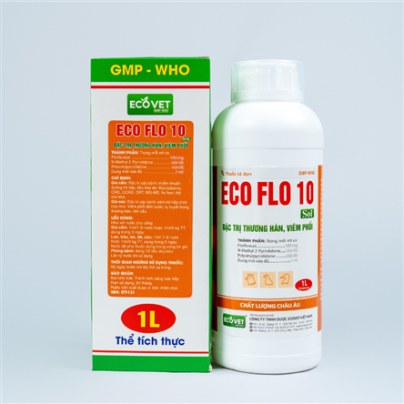 ECO FLO 10 SOL - Special treatment for typhoid pneumonia