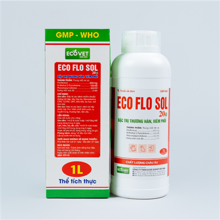 ECO FLO 20 SOL - Special treatment for typhoid pneumonia